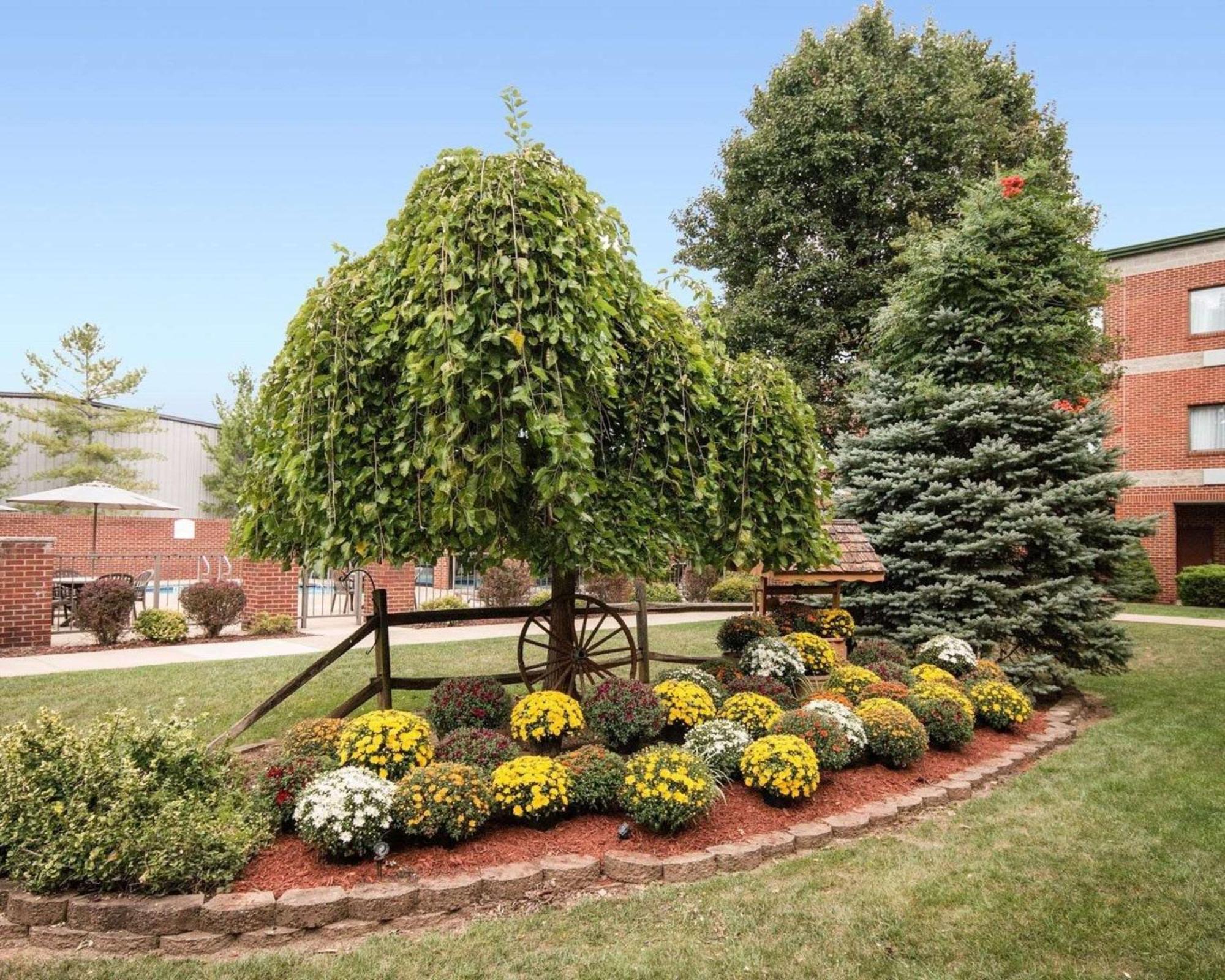 Comfort Suites Parkersburg South Mineral Wells Exterior foto